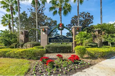 31403 Bridgegate Drive, Wesley Chapel, FL 33545 - Photo 64