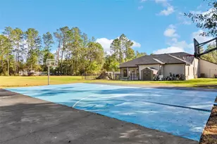 15547 Sago Dr, Brooksville, FL 34604 - Photo 46
