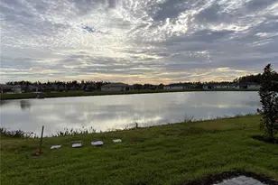 32643 Neroli St, Wesley Chapel, FL 33543 - Photo 4