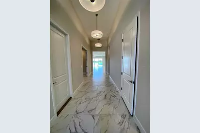 32643 Neroli Street, Wesley Chapel, FL 33543 - Photo 6