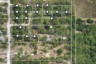 10209 Sybil Ln, Hudson, FL 34667 - Photo 1