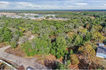 10209 Sybil Lane, Hudson, FL 34667 - Photo 4