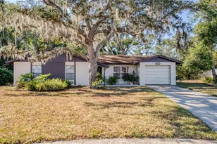 6521 Secrest Ct, Tampa, FL 33625 - Photo 2