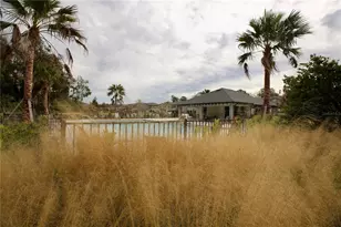 17620 Nectar Flume Dr, Land O Lakes, FL 34638 - Photo 46