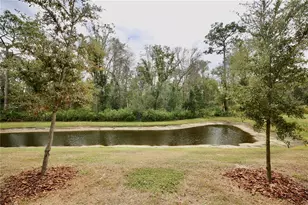 17620 Nectar Flume Dr, Land O Lakes, FL 34638 - Photo 38