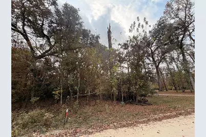 Lot 11 284th Terrace, Branford, FL 32008 - Photo 1