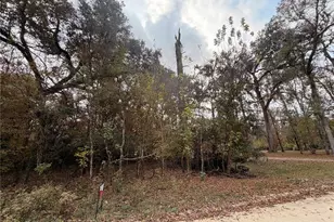 Lot 11 284th Terrace, Branford, FL 32008 - Photo 1