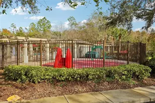 30352 Elderwood Dr, Wesley Chapel, FL 33543 - Photo 18