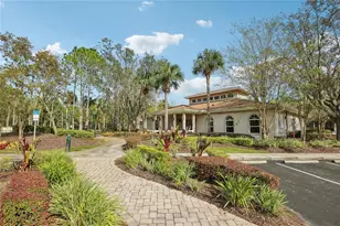 30352 Elderwood Dr, Wesley Chapel, FL 33543 - Photo 22