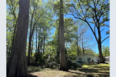 8546 Cameo Drive, New Port Richey, FL 34654 - Photo 8