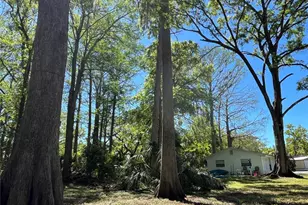 8546 Cameo Dr, New Port Richey, FL 34654 - Photo 8