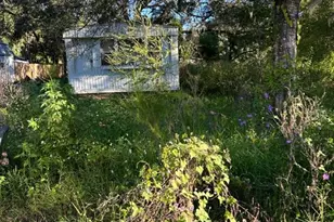 39249 Lizabeth Cir, Zephyrhills, FL 33542 - Photo 1