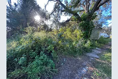 39249 Lizabeth Circle, Zephyrhills, FL 33542 - Photo 4