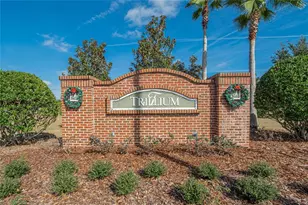 653 Petal Mist Ln, Brooksville, FL 34604 - Photo 46