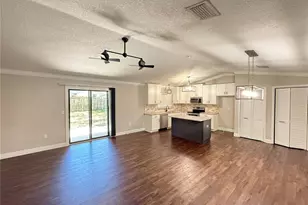 1431 Noell Blvd, Palm Harbor, FL 34683 - Photo 12
