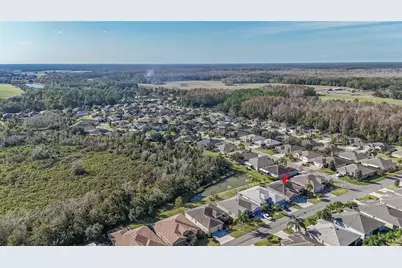 29290 Grass Bunker Drive, San Antonio, FL 33576 - Photo 24