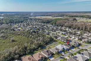 29290 Grass Bunker Dr, San Antonio, FL 33576 - Photo 24