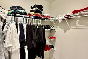 8319 Wildflower Glen Ave, Odessa, FL 33556 - Photo 30