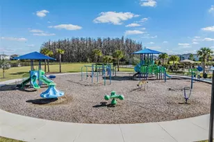 33075 Kateland Dr, Wesley Chapel, FL 33545 - Photo 62