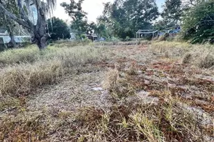 1417 Dolphin Dr, Lakeland, FL 33801 - Photo 24