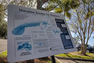 3315 58th Ave S, Saint Petersburg, FL 33712 - Photo 26