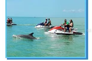 512 Tennessee Ave, Crystal Beach, FL 34681 - Photo 22