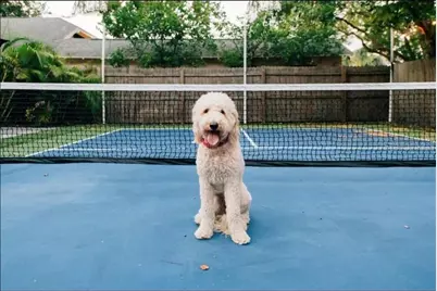 2705 N Oakdale Avenue, Tampa, FL 33602 - Photo 36