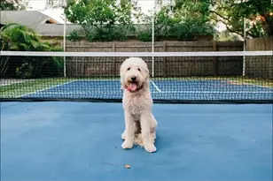 2705 N Oakdale Ave, Tampa, FL 33602 - Photo 36