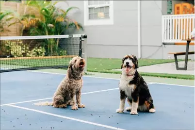 2705 N Oakdale Avenue, Tampa, FL 33602 - Photo 38