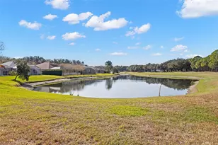 18952 Maisons Dr, Lutz, FL 33558 - Photo 24