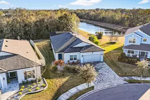 30801 Parrot Reef, Wesley Chapel, FL 33545 - Photo 54