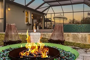 30801 Parrot Reef, Wesley Chapel, FL 33545 - Photo 62