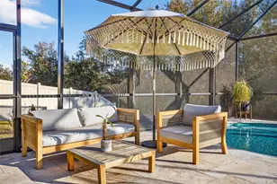 30801 Parrot Reef, Wesley Chapel, FL 33545 - Photo 42