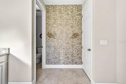 30801 Parrot Reef, Wesley Chapel, FL 33545 - Photo 36