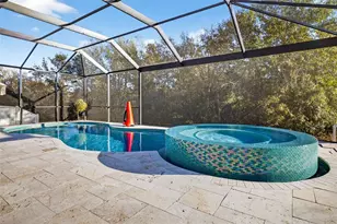 30801 Parrot Reef, Wesley Chapel, FL 33545 - Photo 48