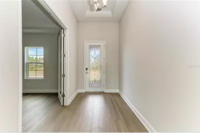 35244 Big Hawk Drive, Zephyrhills, FL 33541 - Photo 12