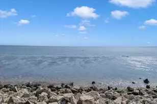 6212 Bayshore Blvd, Tampa, FL 33611 - Photo 76