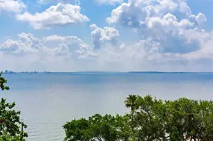 4201 Bayshore Blvd, Tampa, FL 33611 - Photo 32