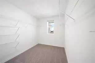 16716 Glacier Bay Loop, Wimauma, FL 33598 - Photo 10