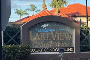 4201 Woodstorks Walk Way, Lutz, FL 33558 - Photo 4