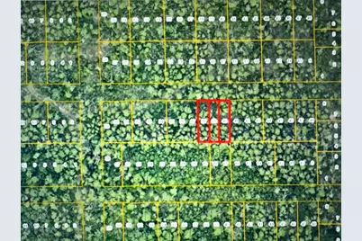 1 Werley Trail, Deland, FL 32720 - Photo 4