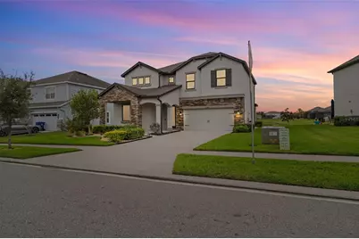 31046 Parrot Reef Court, Wesley Chapel, FL 33545 - Photo 4