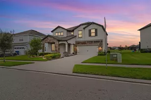 31046 Parrot Reef Ct, Wesley Chapel, FL 33545 - Photo 4