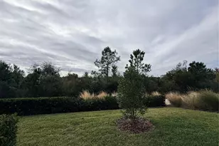 5443 Elmview Xing, Wesley Chapel, FL 33545 - Photo 36