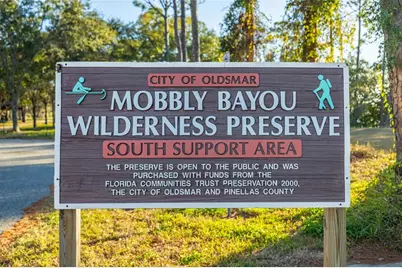 152 Brent Circle, Oldsmar, FL 34677 - Photo 78