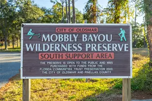 152 Brent Cir, Oldsmar, FL 34677 - Photo 78