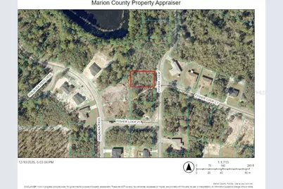 Tbd Fisher Loop, Ocklawaha, FL 32179 - Photo 2