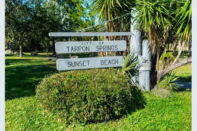 1202 Palm Drive, Tarpon Springs, FL 34689 - Photo 66