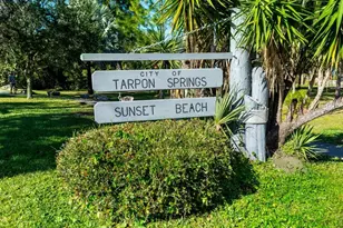 1202 Palm Dr, Tarpon Springs, FL 34689 - Photo 66