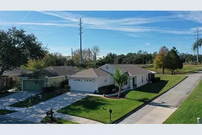 3021 Banyan Hill Lane, Land O Lakes, FL 34639 - Photo 38